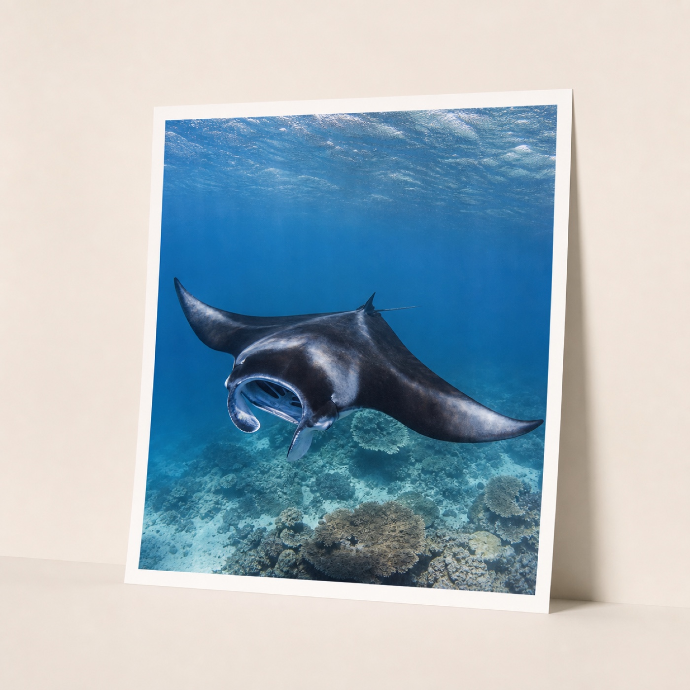 Framed underwater manta ray fine art photograph